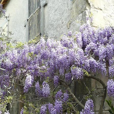 Bed and Breakfast La Ferme St Michel Solerieux Экстерьер фото