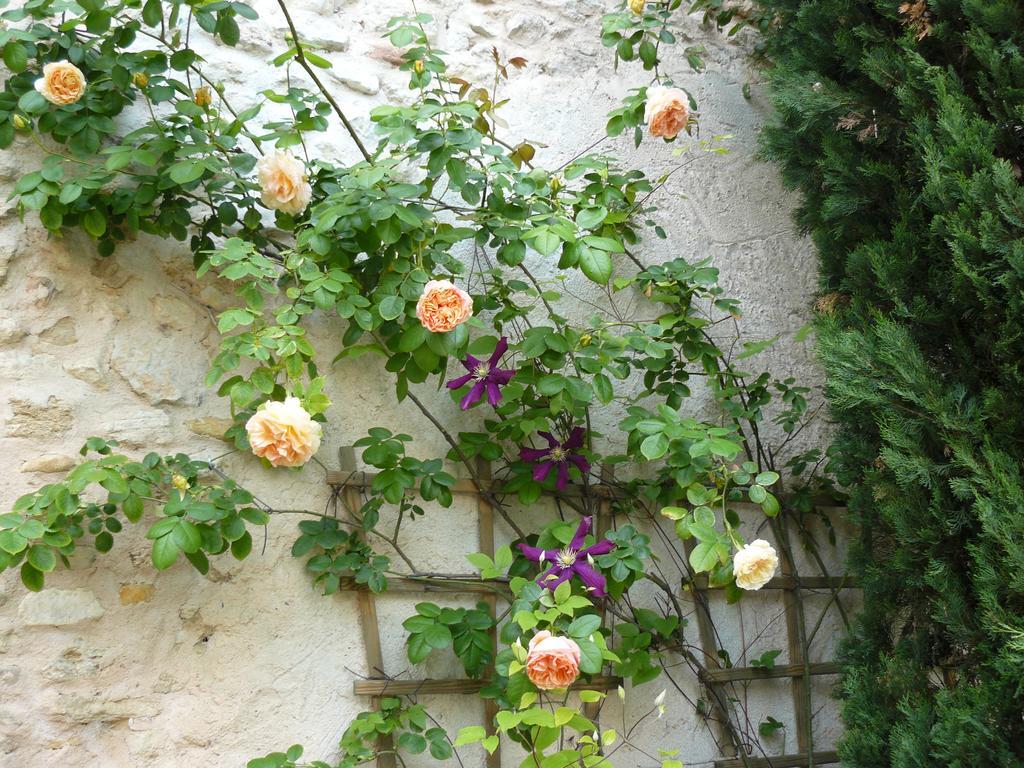 Bed and Breakfast La Ferme St Michel Solerieux Экстерьер фото