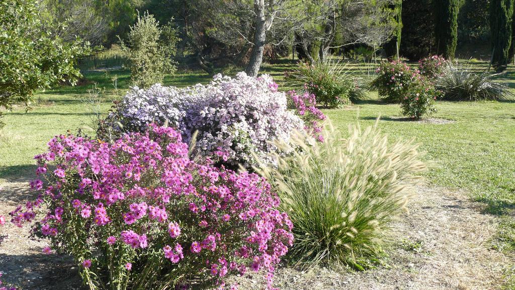 Bed and Breakfast La Ferme St Michel Solerieux Экстерьер фото
