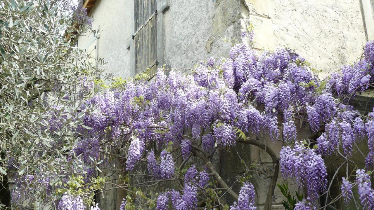 Bed and Breakfast La Ferme St Michel Solerieux Экстерьер фото